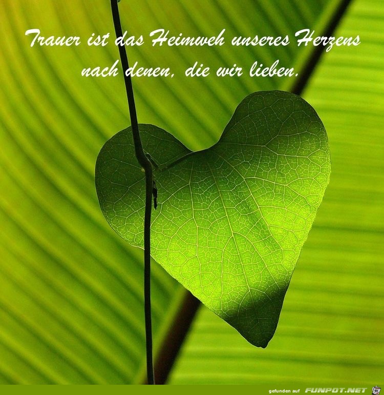 trauer ist das Heimweh trauer ist das Heimweh
