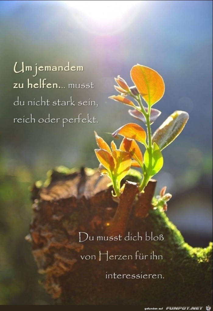 um jemanden zu helfen um jemanden zu helfen