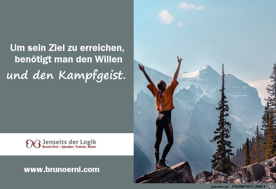 um sein Ziel zu erreichen um sein Ziel zu erreichen