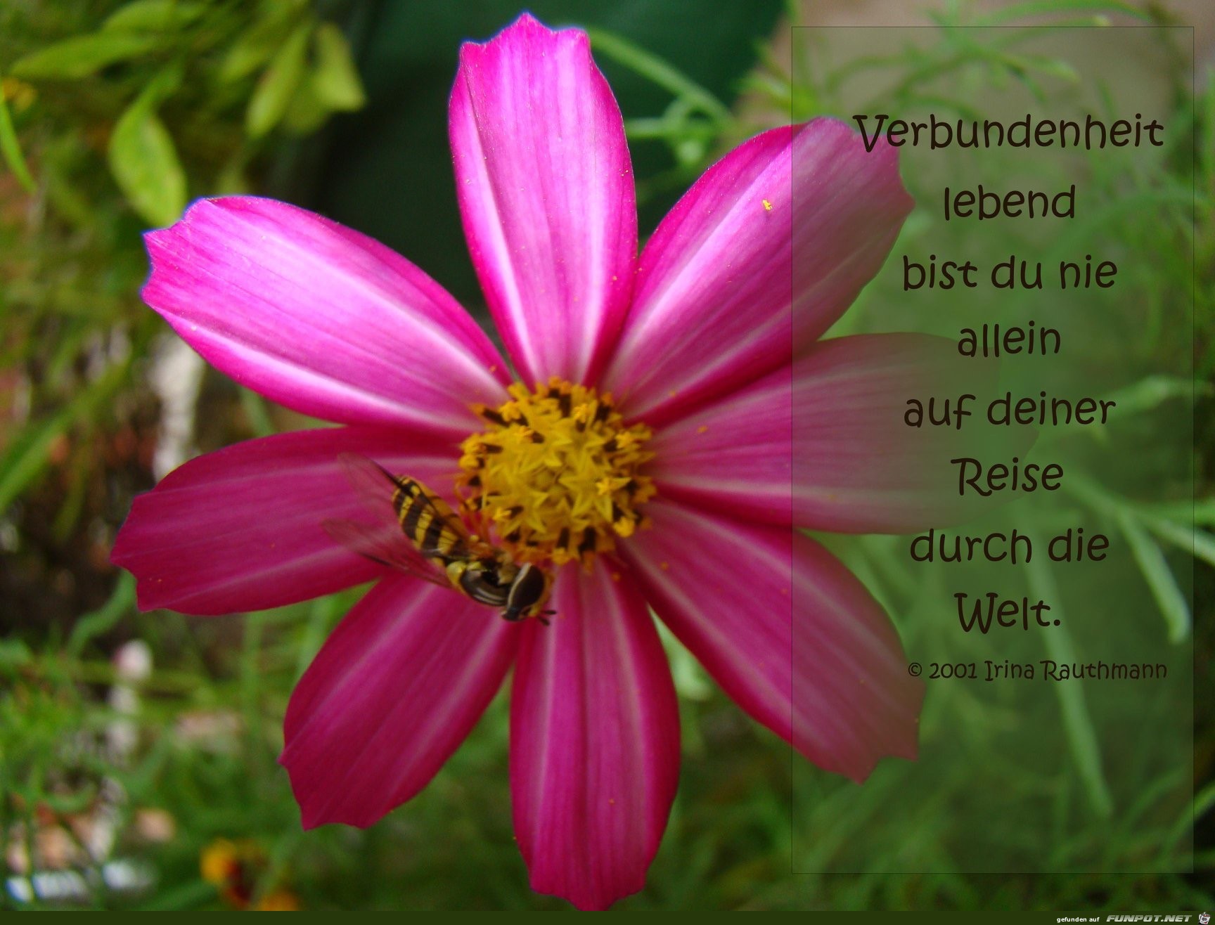 Verbundenheit lebend Verbundenheit lebend