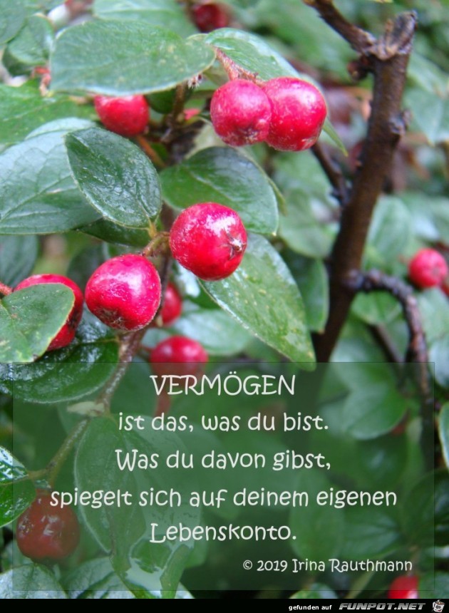 Vermoegen ist das Vermoegen ist das