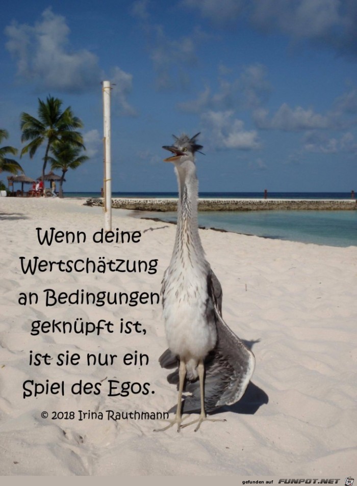 wenn deine Wertschaetzung wenn deine Wertschaetzung