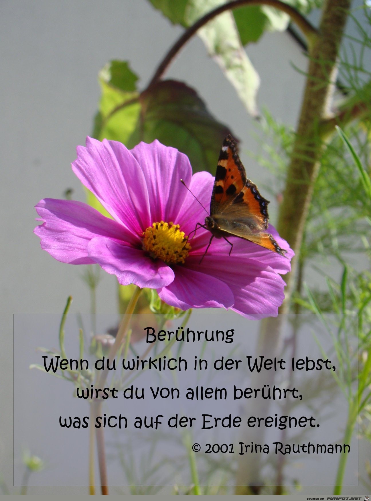 wenn du wirklich in der Welt lebst wenn du wirklich in der Welt lebst