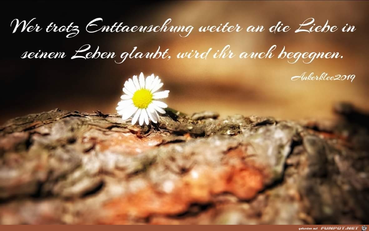 wer trotz Enttaeuschung wer trotz Enttaeuschung