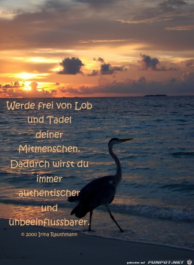 werde frei von lob werde frei von lob