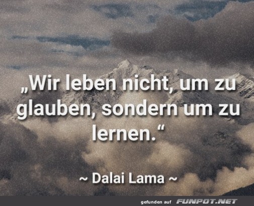 10 sch�ne Spr�che und Lebensweisheiten aus...