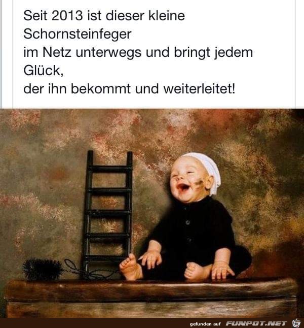 Glueck Glueck
