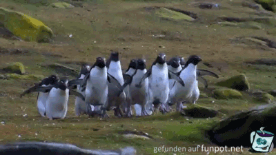 los gehts los gehts