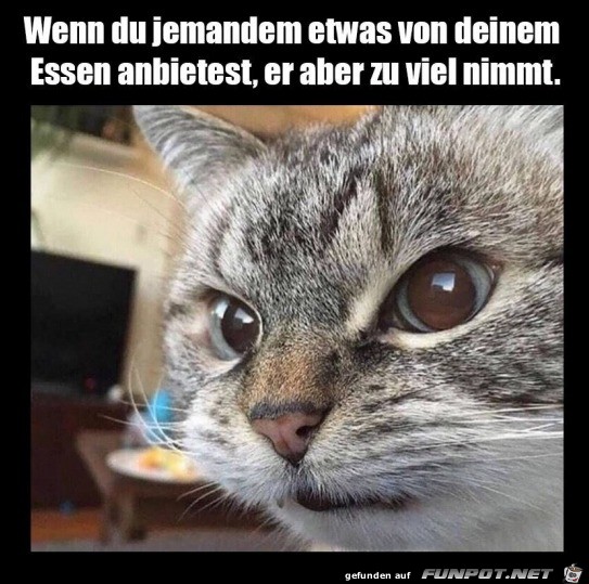 der Blick spricht Bände der Blick spricht Bände