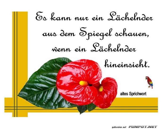 Es kann nur ein Laechelnder Es kann nur ein Laechelnder