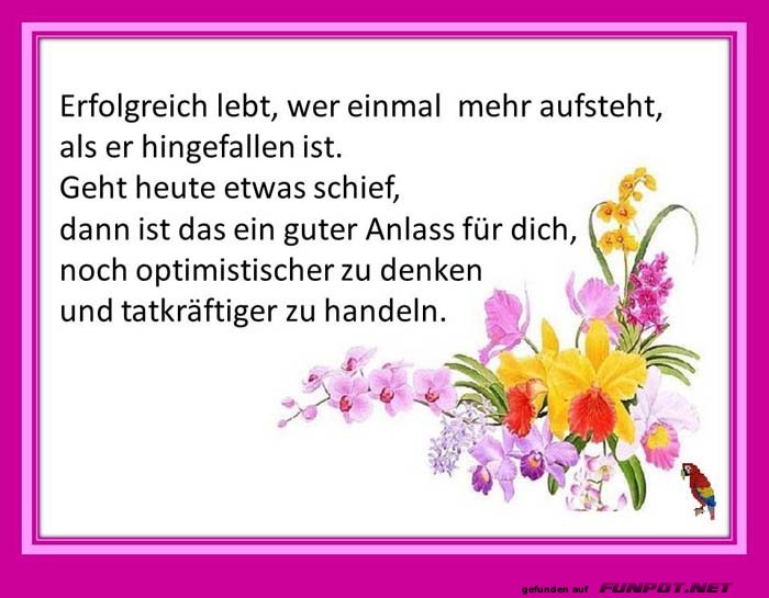 Erfolgreich lebt Erfolgreich lebt