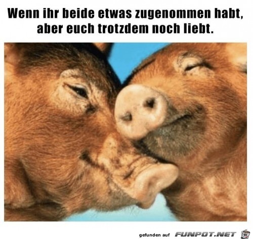 Bisschen zugenommen Bisschen zugenommen