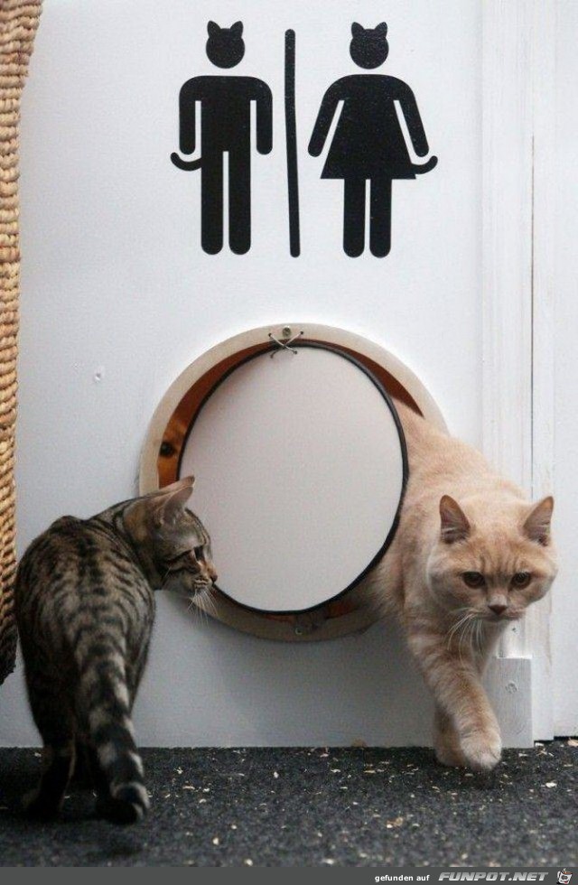 Katzen-Eingang Katzen-Eingang