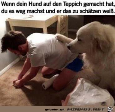 Dankbarer Hund