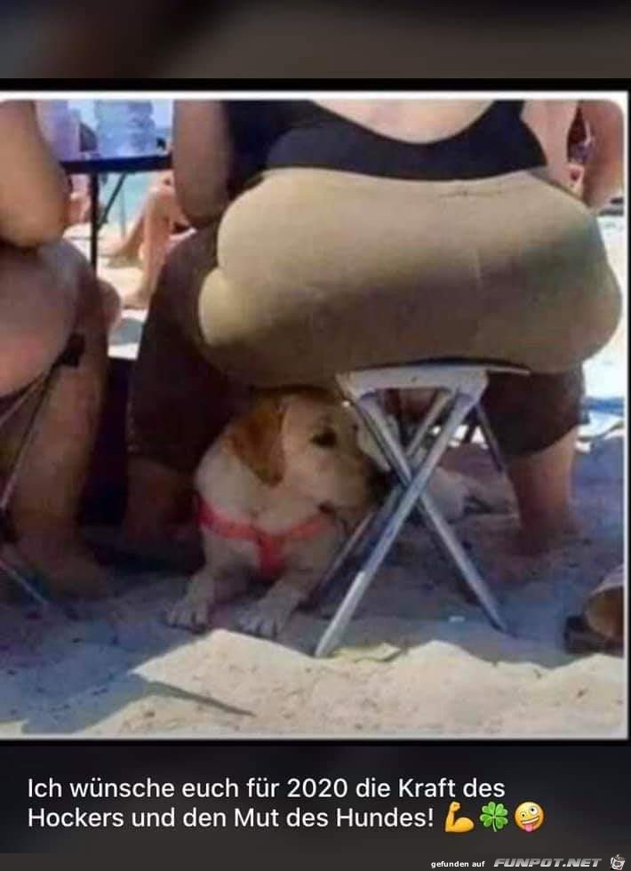 Mutprobe Mutprobe