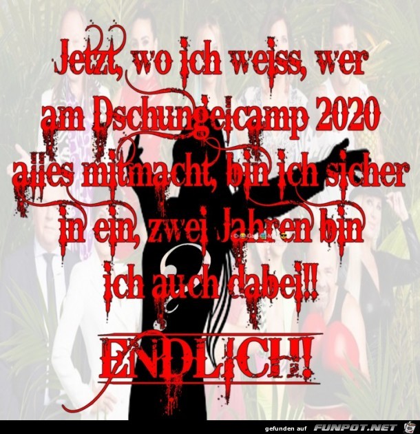 Dschungel 2020 Dschungel 2020