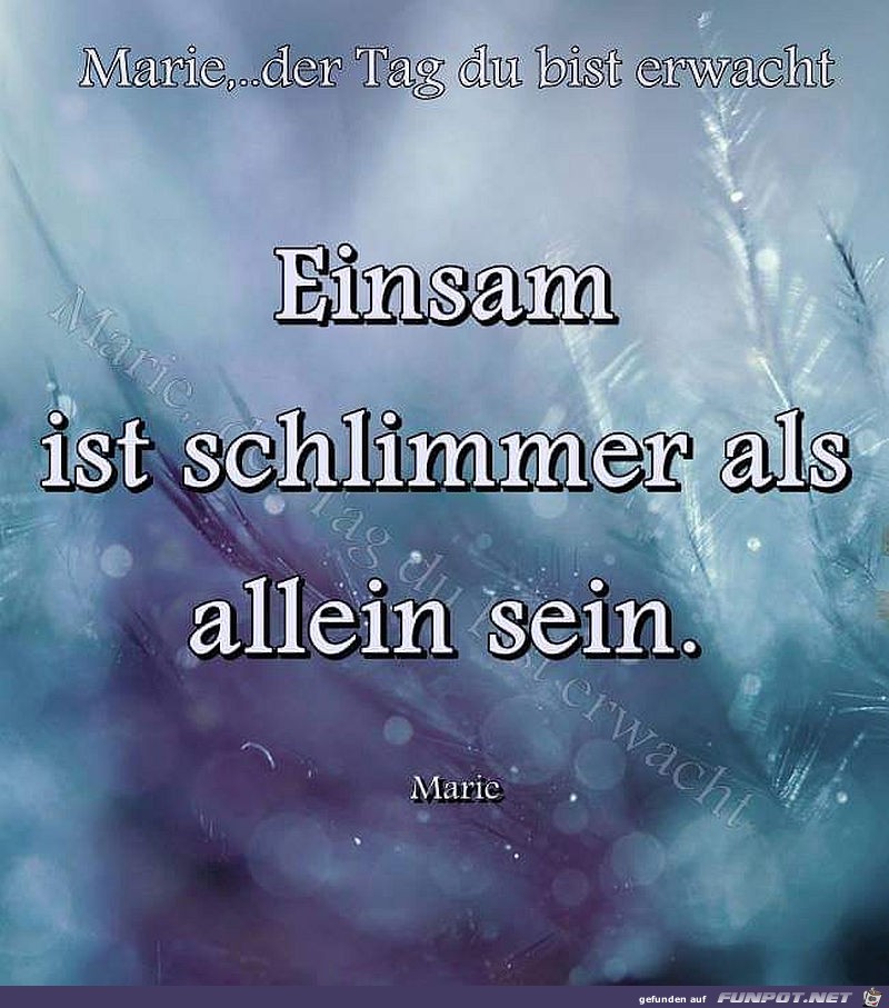 Einsamkeit Einsamkeit