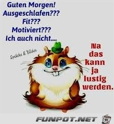 Guten Morgen