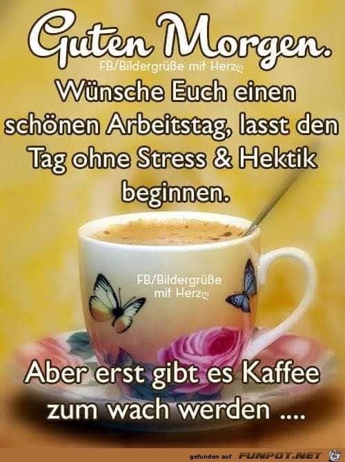 Guten Morgen