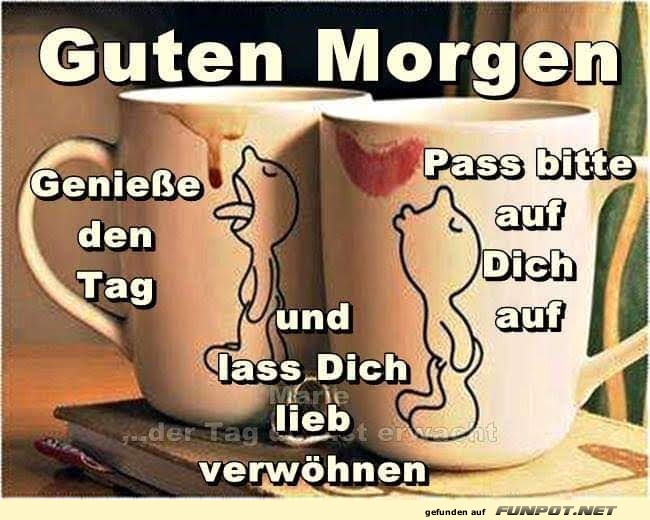 Guten Morgen Guten Morgen