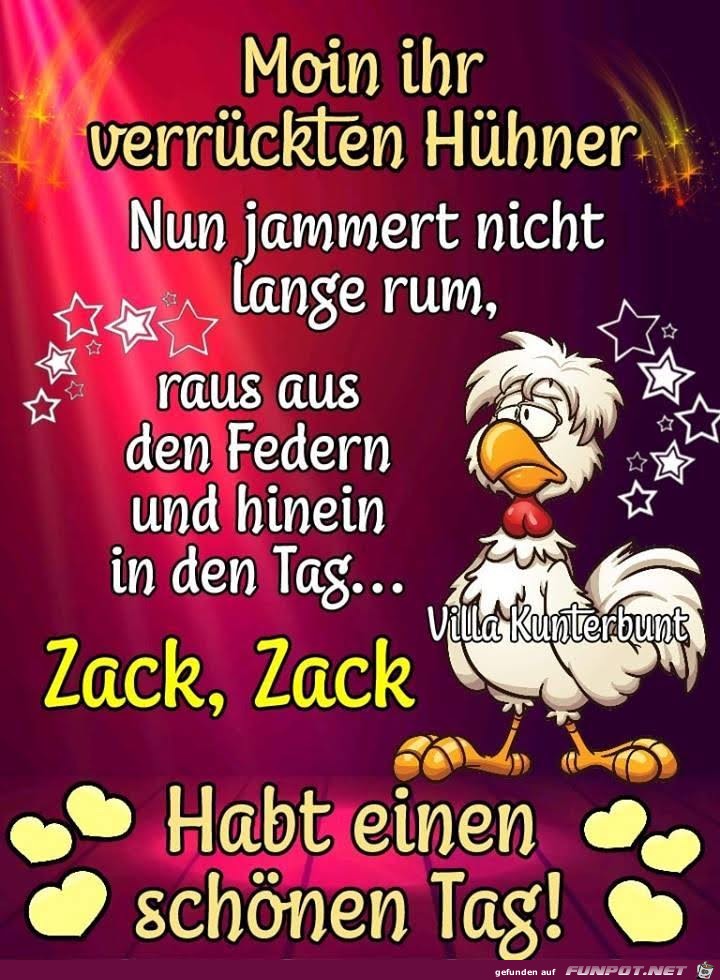 Moin Moin