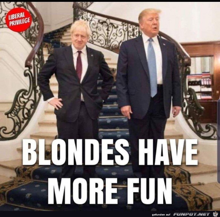 Blonde Blonde