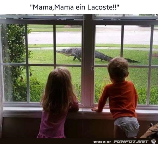 Lacoste Lacoste