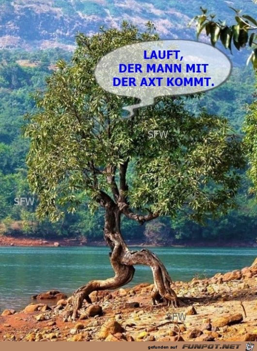 Der Mann mit der Axt Der Mann mit der Axt