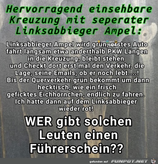 Fuehrerschein Fuehrerschein