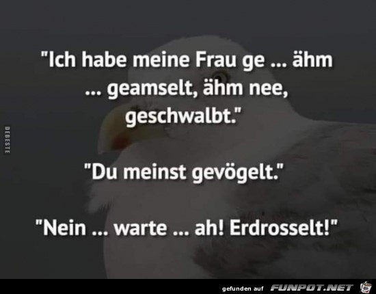 Ich hab meine Frau