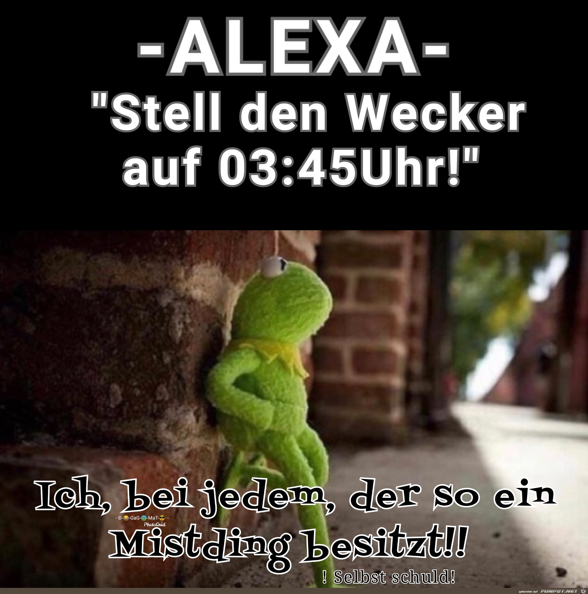 Alexa Alexa