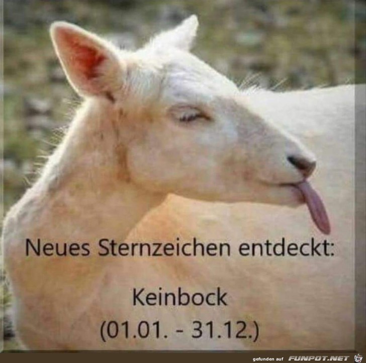 Neues Sternzeichen