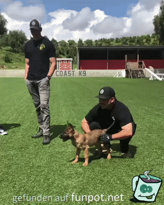 Polizei Hundetraining