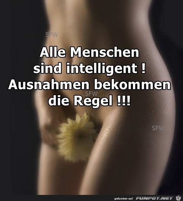 sind intelligent