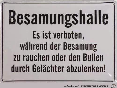Besamungshalle Besamungshalle