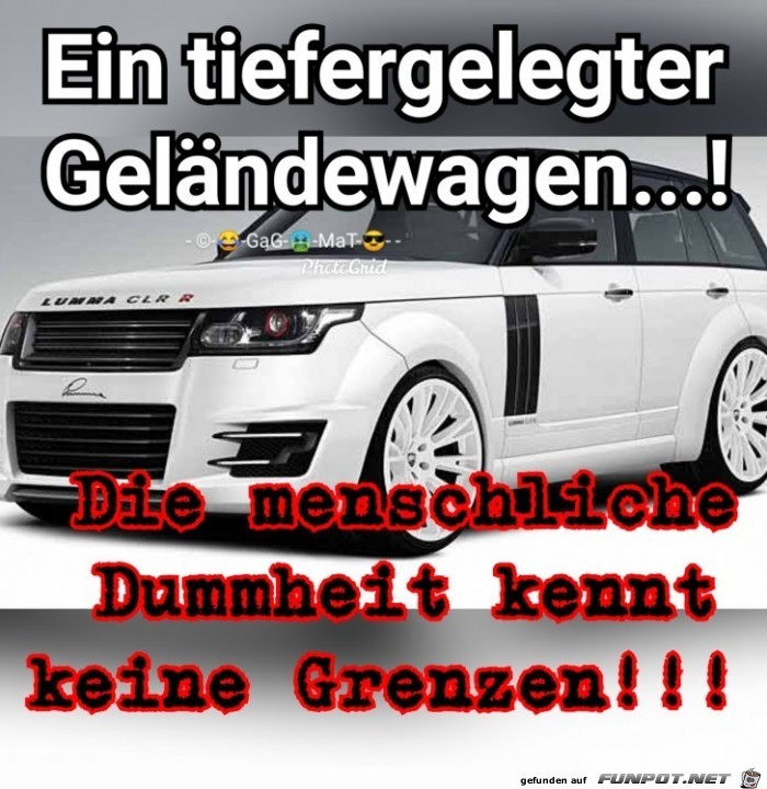 grenzenlose dummheit