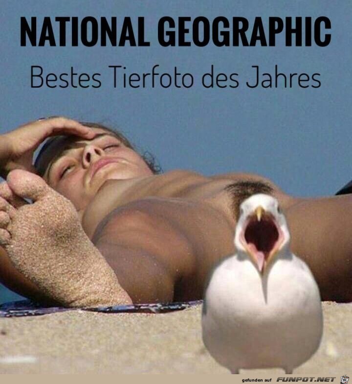 Tierfoto Tierfoto