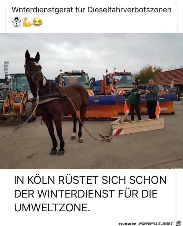 Winterdienst Winterdienst