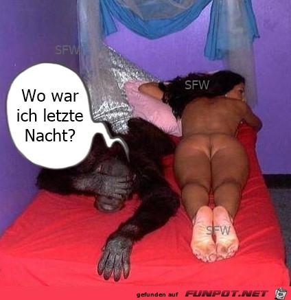 Wo war ich letzte Nacht