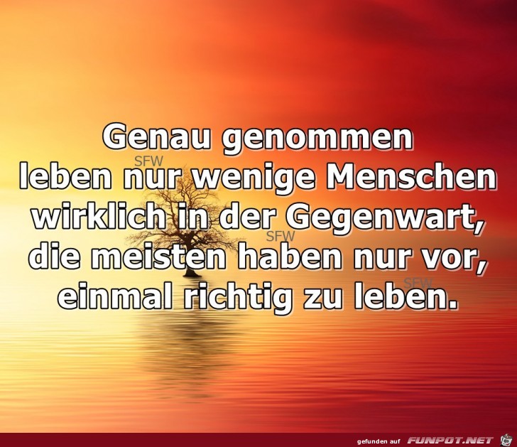 Genau genommen leben Genau genommen leben
