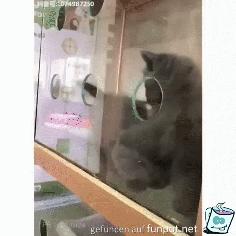 Fluchthelfer Fluchthelfer