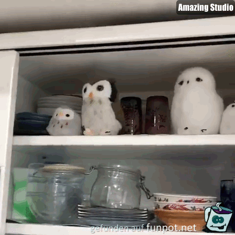 Tarnen Tarnen