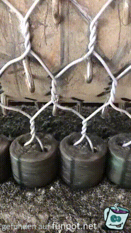 Maschendrahtzaun Maschendrahtzaun