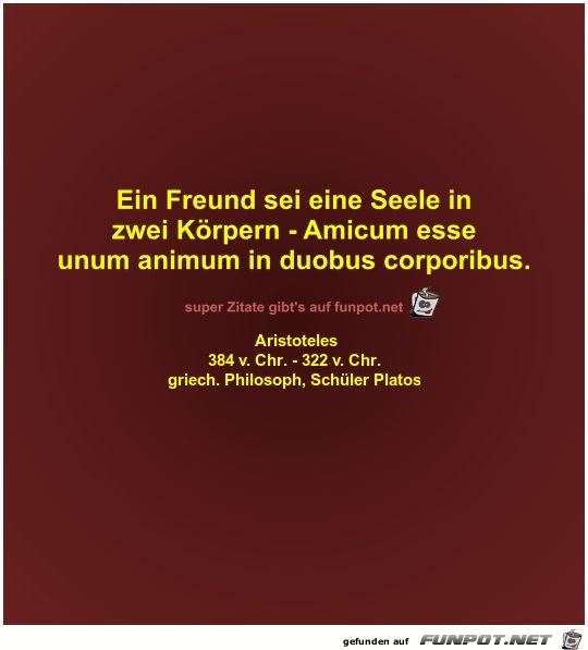 Ein Freund sei eine Seele in
zwei Krpern - Amicum...