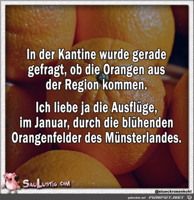 Orangen aus der Region
