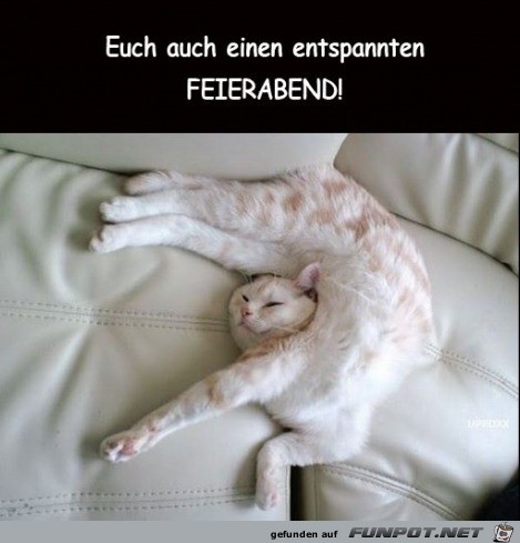 Scheint bequem zu sein Scheint bequem zu sein