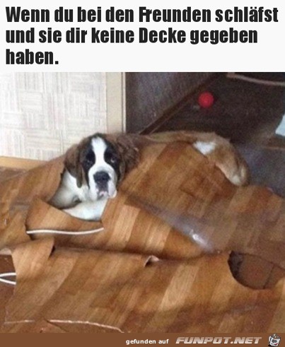 Das wars mit dem Bodenbelag Das wars mit dem Bodenbelag