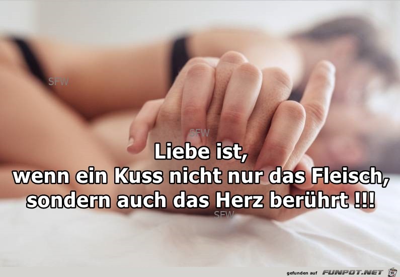 Liebe ist Liebe ist