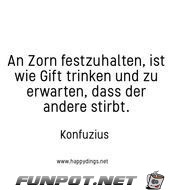 am Zorn festzuhalten