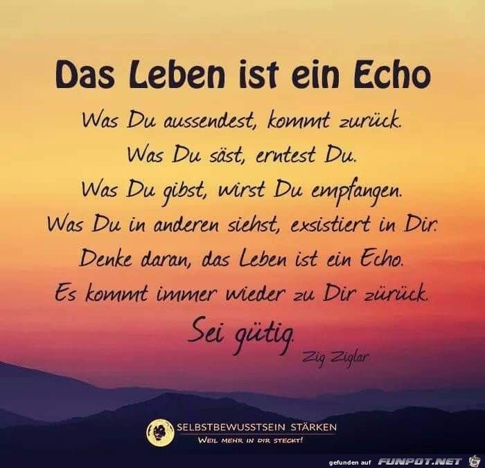 das leben ist ein echo